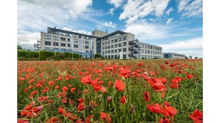 MITNETZ-Standort Kabelsketal mit Mohnblumen im Vordergrund MITNETZ-Standort Kabelsketal mit Mohnblumen im Vordergrund