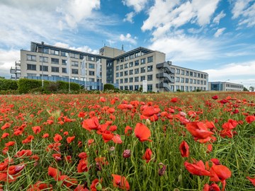 MITNETZ-Standort Kabelsketal mit Mohnblumen im Vordergrund MITNETZ-Standort Kabelsketal mit Mohnblumen im Vordergrund
