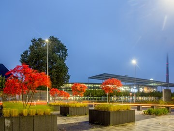 Strasse_Platz_mit_Blumenkübel_Gewerbe Strasse_Platz_mit_Blumenkübel_Gewerbe