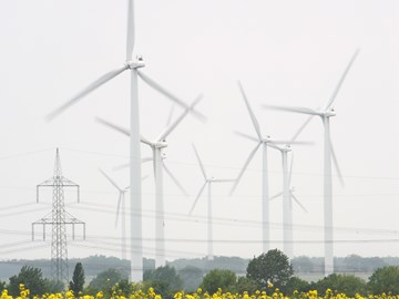 Windräder und Stromleitungen im Hintergrund eines Rapsfeldes Windräder und Stromleitungen im Hintergrund eines Rapsfeldes