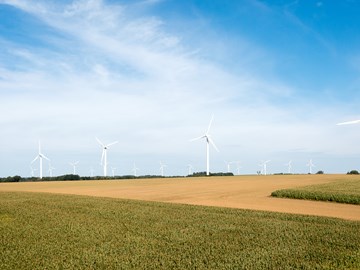 Berbersdorf_DJI_0707 Berbersdorf_DJI_0707